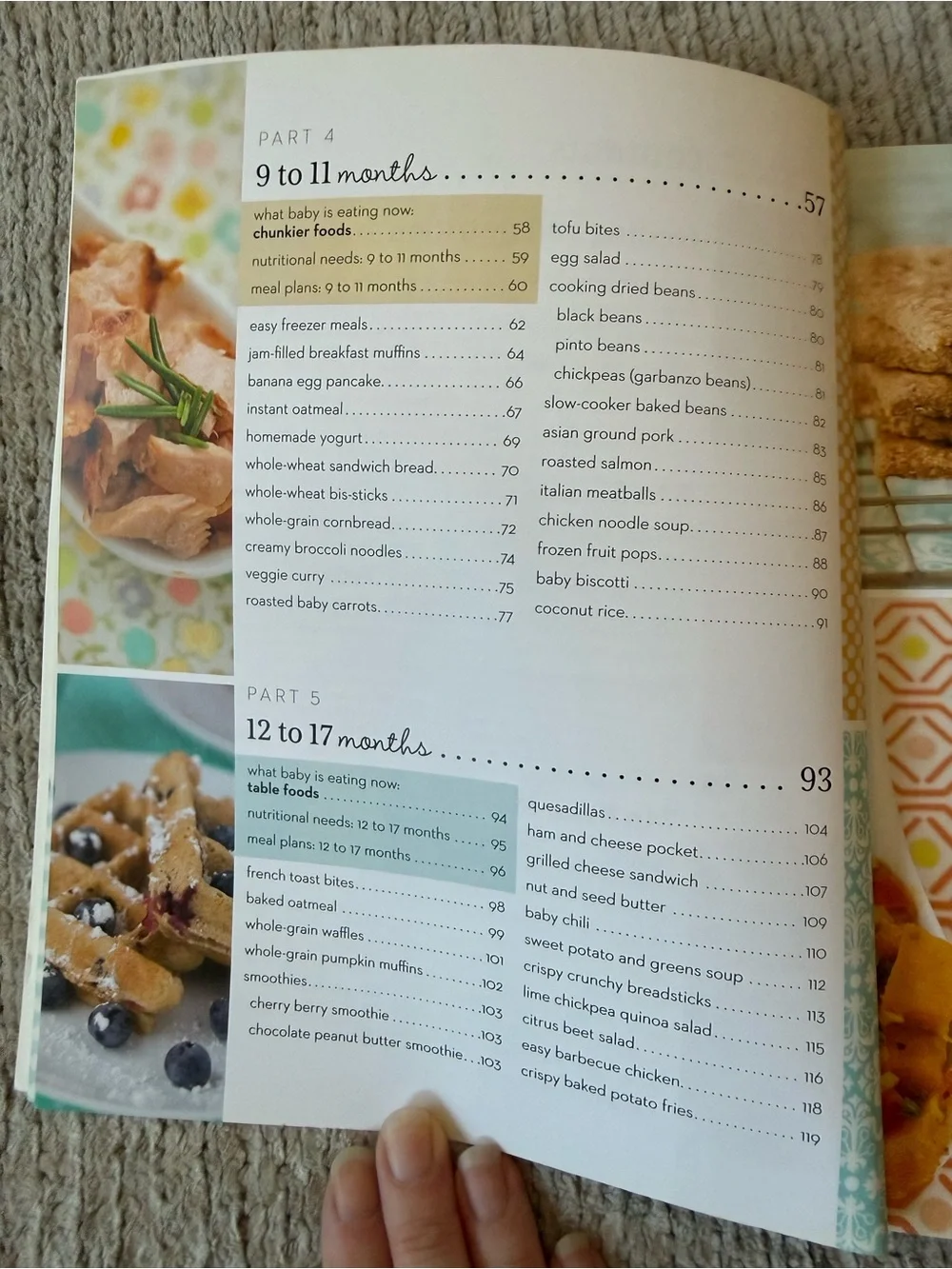 Idiot’s Guides Homemade Baby & Toddler Food Cookbook 100+ Recipes